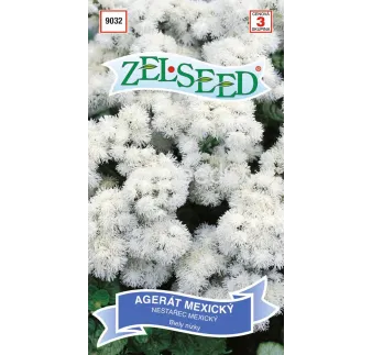 Agerát biely nizky