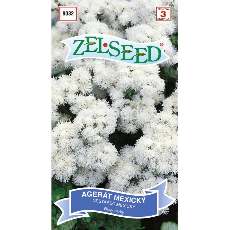 Agerát biely nizky