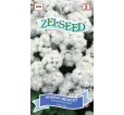 Agerát biely nizky