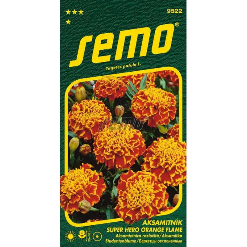 Aksamietnica Honey Aksamietnica Honey