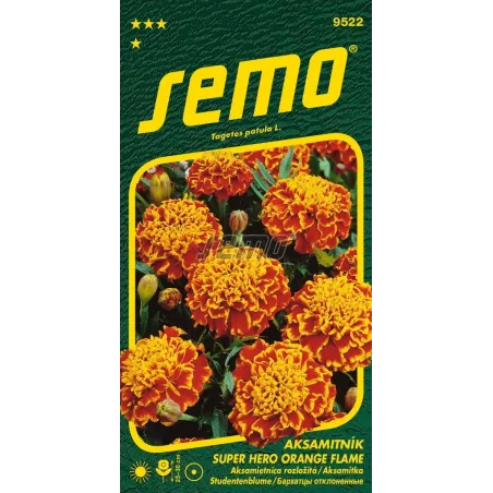 Aksamietnica Honey