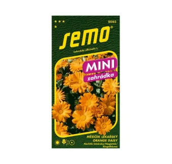 Nechtík lekársky Orange Daisy