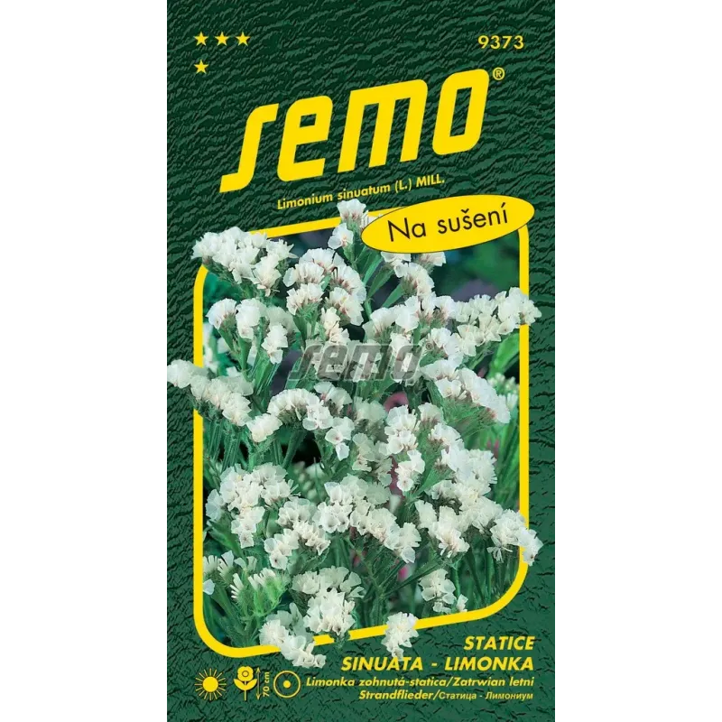 Limonka vencová White