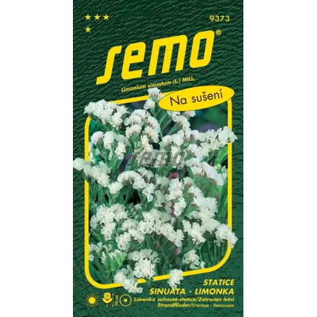 Limonka vencová White