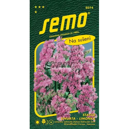 Limonka Rosea