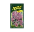 Limonka Rosea