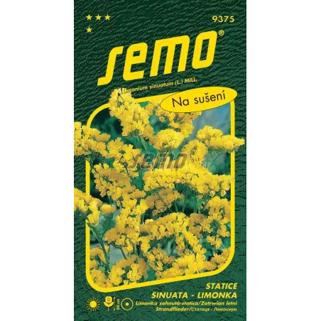 Limonka Bonduellei žltá