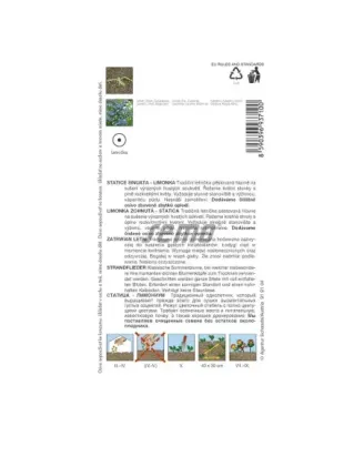 Limonka Ametyst mod
