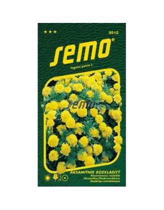 Aksamietnica Lemon