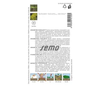 Aksamietnica Lemon