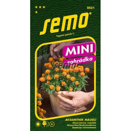 Aksamietnica Mowgli