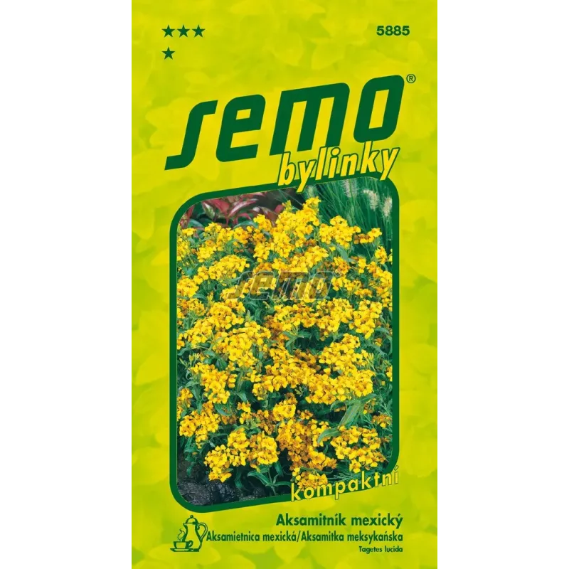 Aksamietnica mexicka