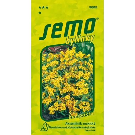 Aksamietnica mexicka