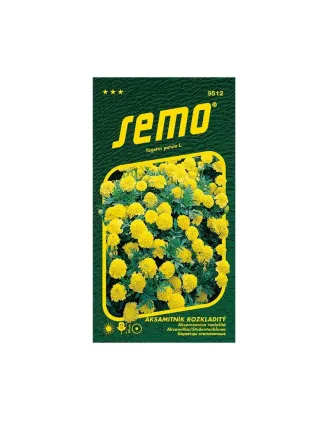 Aksamietnica Lemon