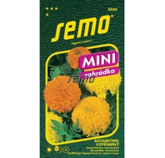 Aksamietnica nízka zmes Cupidon