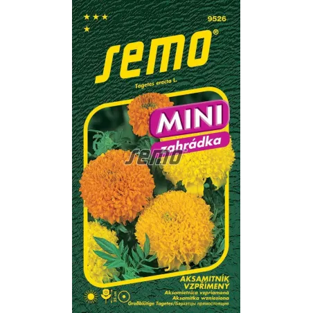 Aksamietnica nízka zmes Cupidon