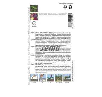 Astra čínska ihlicová Electric zmes