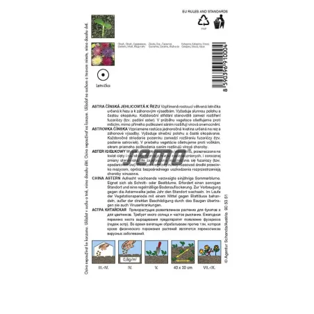 Astra čínska ihlicová Electric zmes