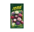 Astra Pompon zmes