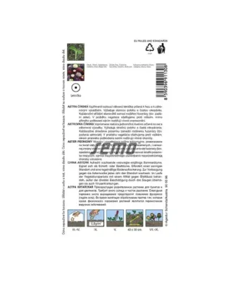 Astra Pompon zmes