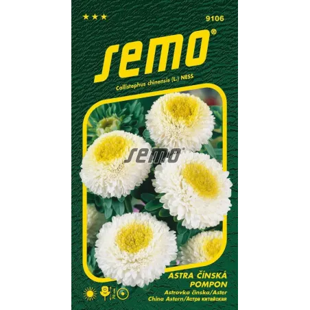 Astra Pomponk White Yellow