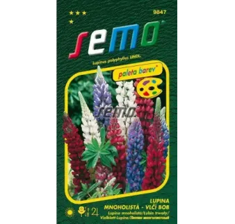 Lupina mnoholistá Zmes farieb
