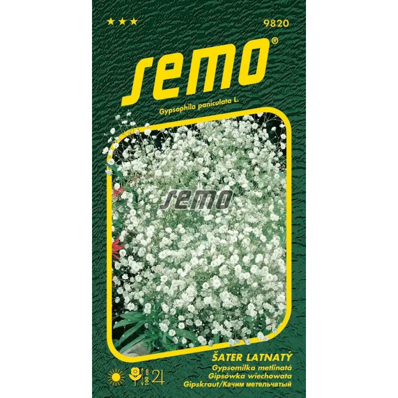Gypsomilka metlinatá biela