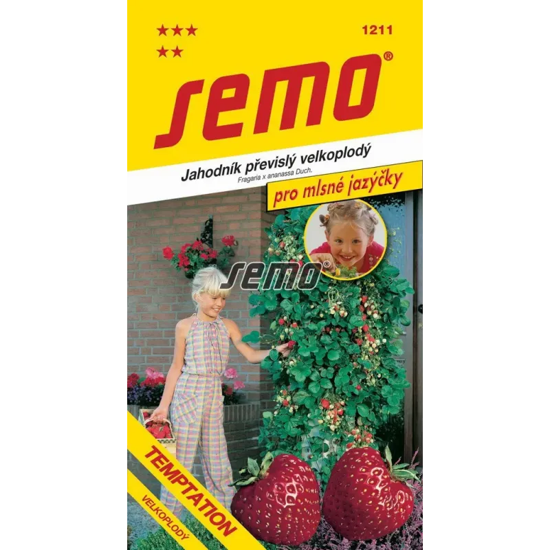 Jahoda Temptation