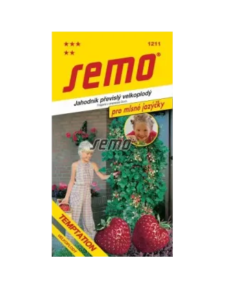 Jahoda Temptation