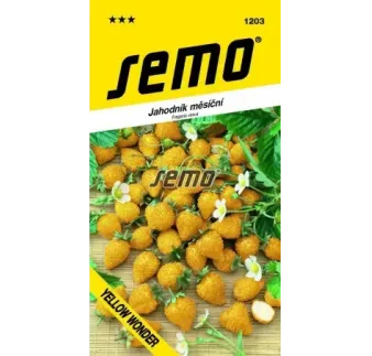 Jahodník mesačný Yellow Wonder