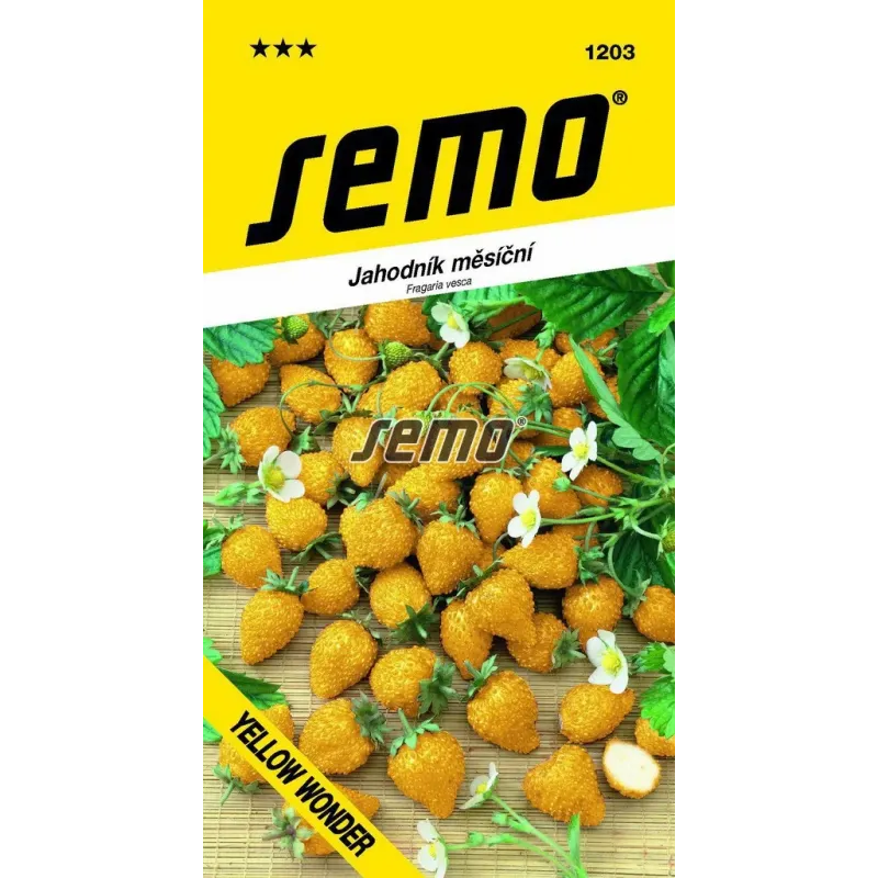 Jahodník mesačný Yellow Wonder