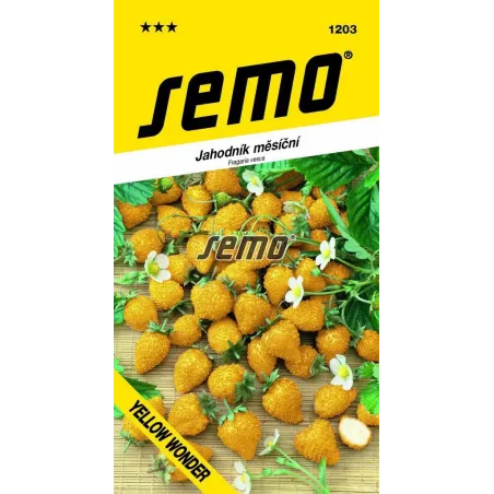 Jahodník mesačný Yellow Wonder