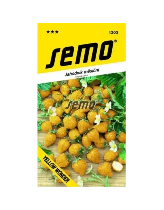 Jahodník mesačný Yellow Wonder