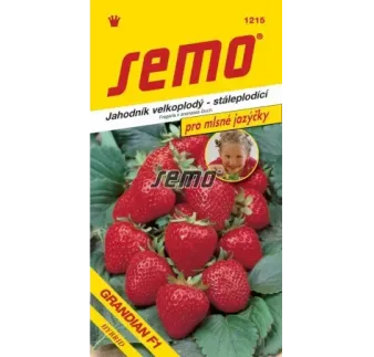 Jahodník veľkoplodý Grandian