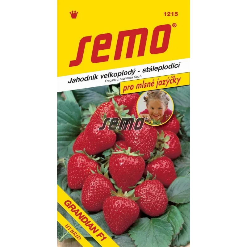 Jahodník veľkoplodý Grandian