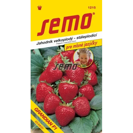 Jahodník veľkoplodý Grandian