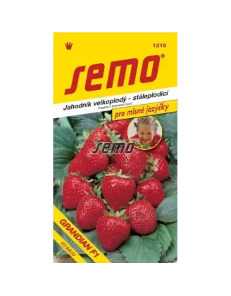 Jahodník veľkoplodý Grandian