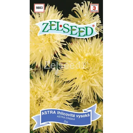 Astra ihlicová vysoká žltá