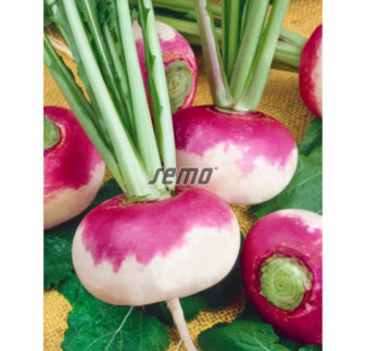 Vodnica Primera