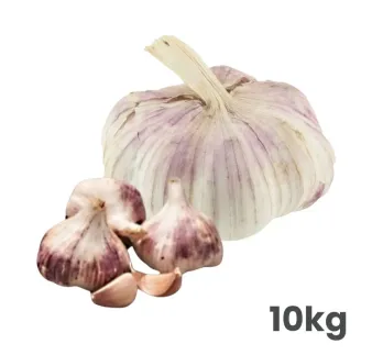 Cesnak sadbový Germidour 50/60 mm 10 kg vrece nepaličiak voľný