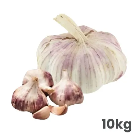 Cesnak sadbový Germidour 50/60 mm 10 kg vrece nepaličiak voľný