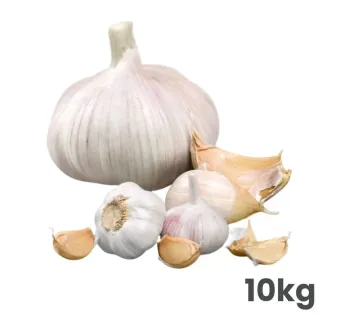 Cesnak sadbový Morado 50/60 mm 10 kg vrece paličiak