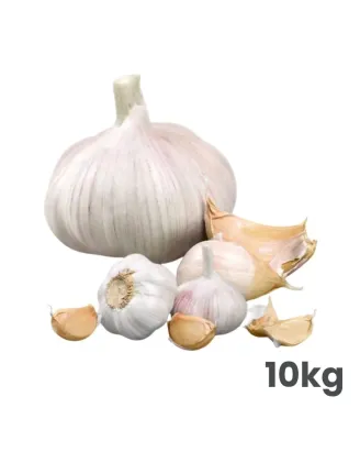 Cesnak sadbový Morado 50/60 mm 10 kg vrece paličiak