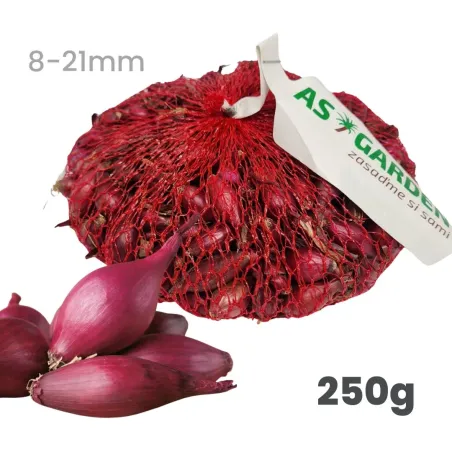Cibuľa sadzačka Akado ozimná červená 250 g 8-21 mm
