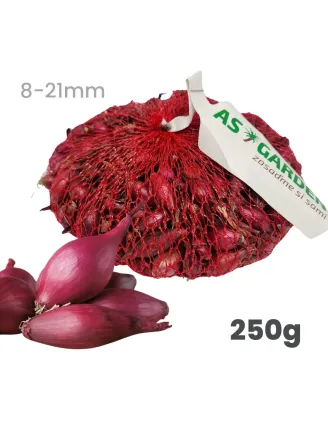 Cibuľa sadzačka Akado ozimná červená 250 g 8-21 mm