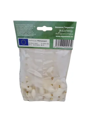 Cibuľa sadzačka s obrázkom Snowball 200 g 8-21 mm