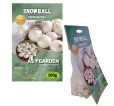 Cibuľa sadzačka s obrázkom Snowball 200 g 8-21 mm