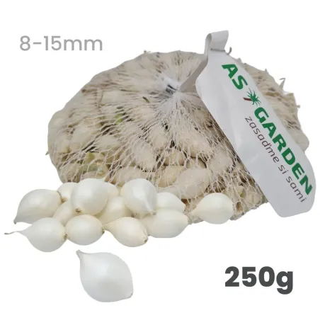 Cibuľa sadzačka biela Snowball 250 g 8-15 mm