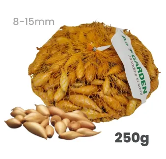Cibuľa sadzačka Birnformige 250 g 8-15 mm