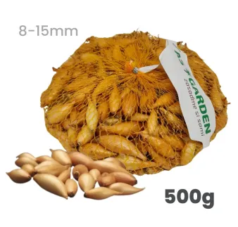 Cibuľa sadzačka Birnformige 500 g 8-15 mm